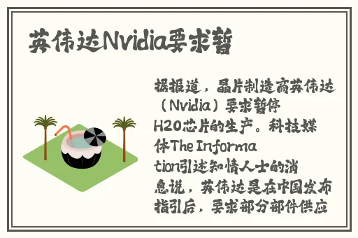bt天堂网.www最新版